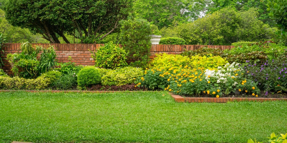 Choosing a Landscape Maintenance Company is Glendale, AZ is important. AMS Lawns is the best choice with years of experience and endless 5-star reviews!