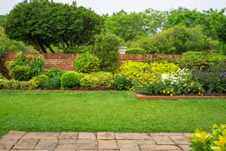 Choosing a Landscape Maintenance Company is Glendale, AZ is important. AMS Lawns is the best choice with years of experience and endless 5-star reviews!