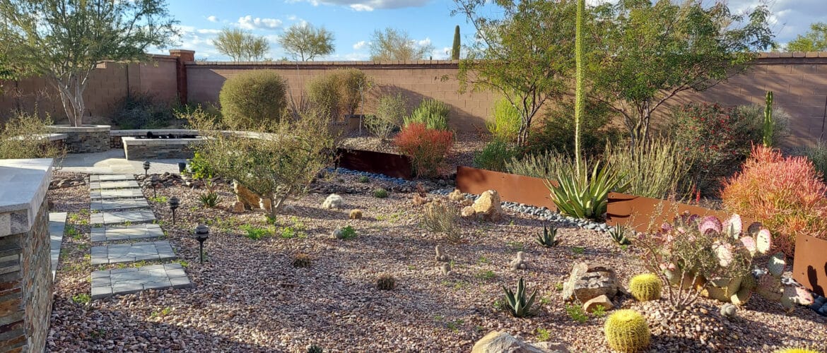 phoenix landscape maintenance