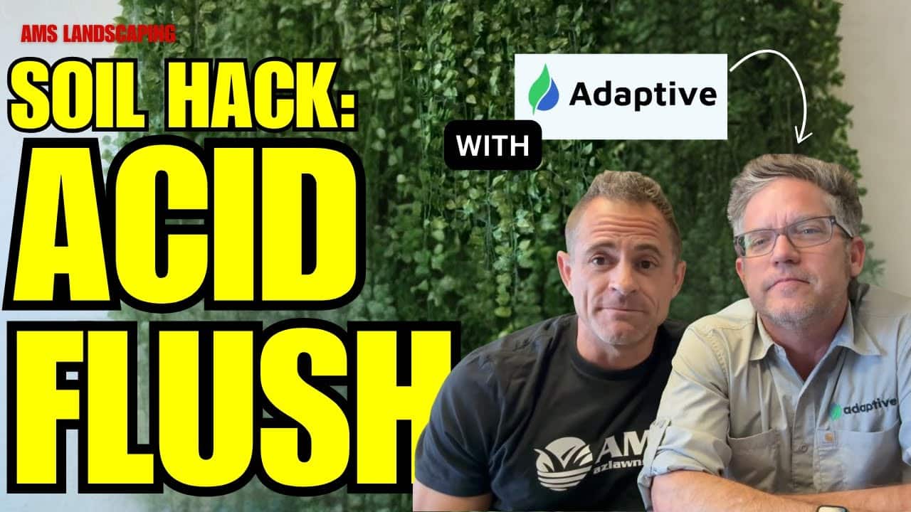 acid flush, adaptive