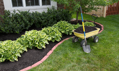 Importance of Landscape Maintenance in Phoenix